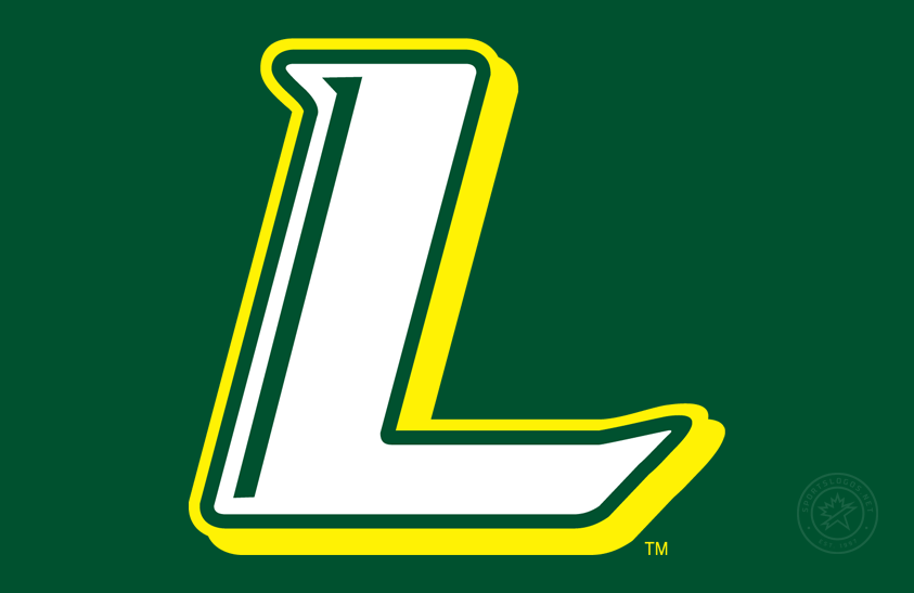 Le Moyne Dolphins 2008-Pres Secondary Logo v3 diy DTF decal sticker